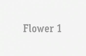 Flower 1